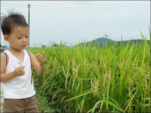 꺼끌꺼끌하고 조그만 한 것이 신기한지 요리조리 자꾸 쳐다봅니다. 